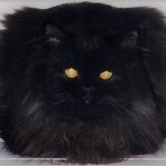 словарик Н-О